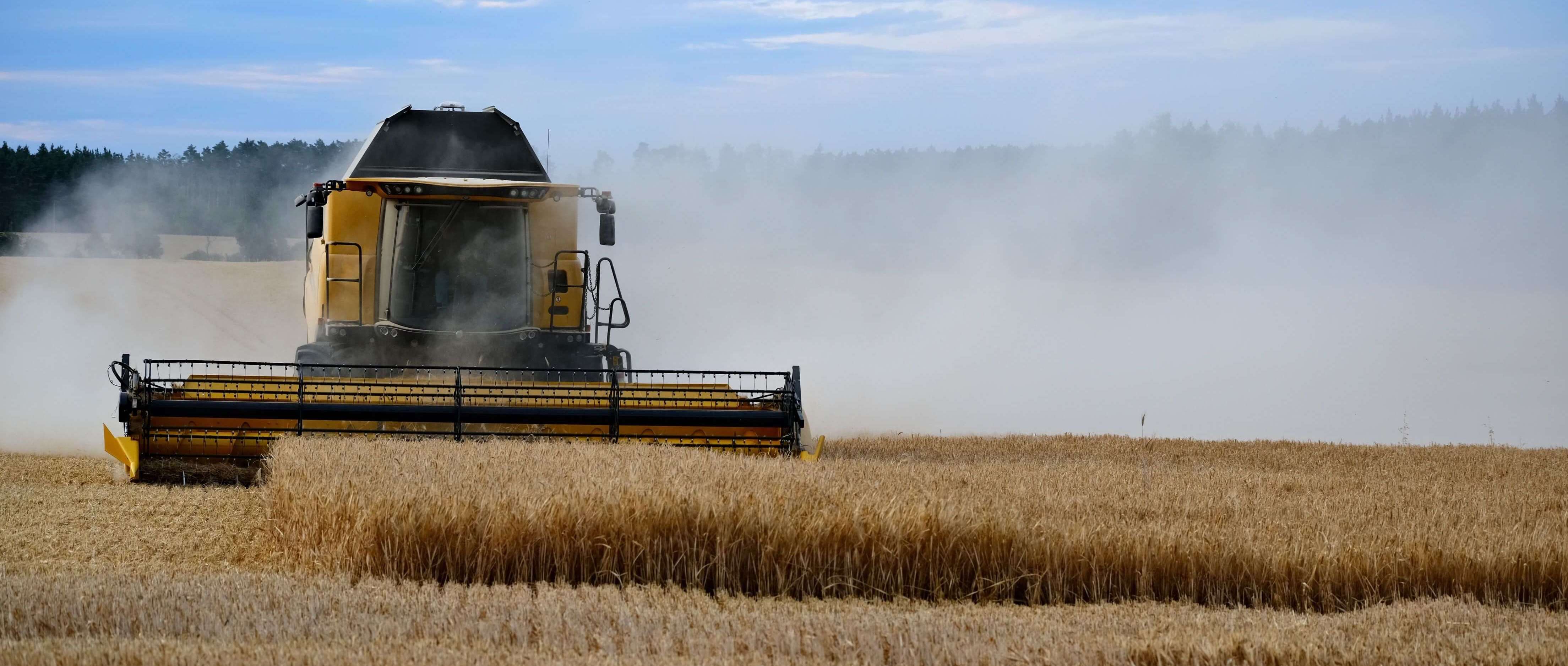 The Information Harvest: Why Data Is Becoming Indian Agriculture's Most Valuable Crop