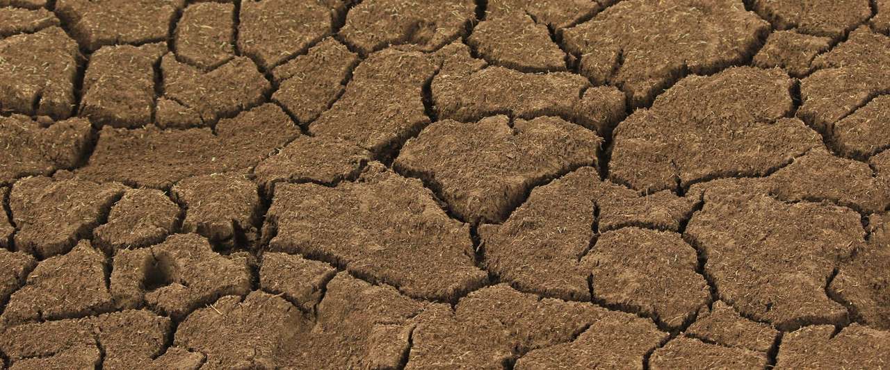 After a Deficient Monsoon, the Insurance Question Is District by District: Reading Kharif 2026 Before Claims Settle
