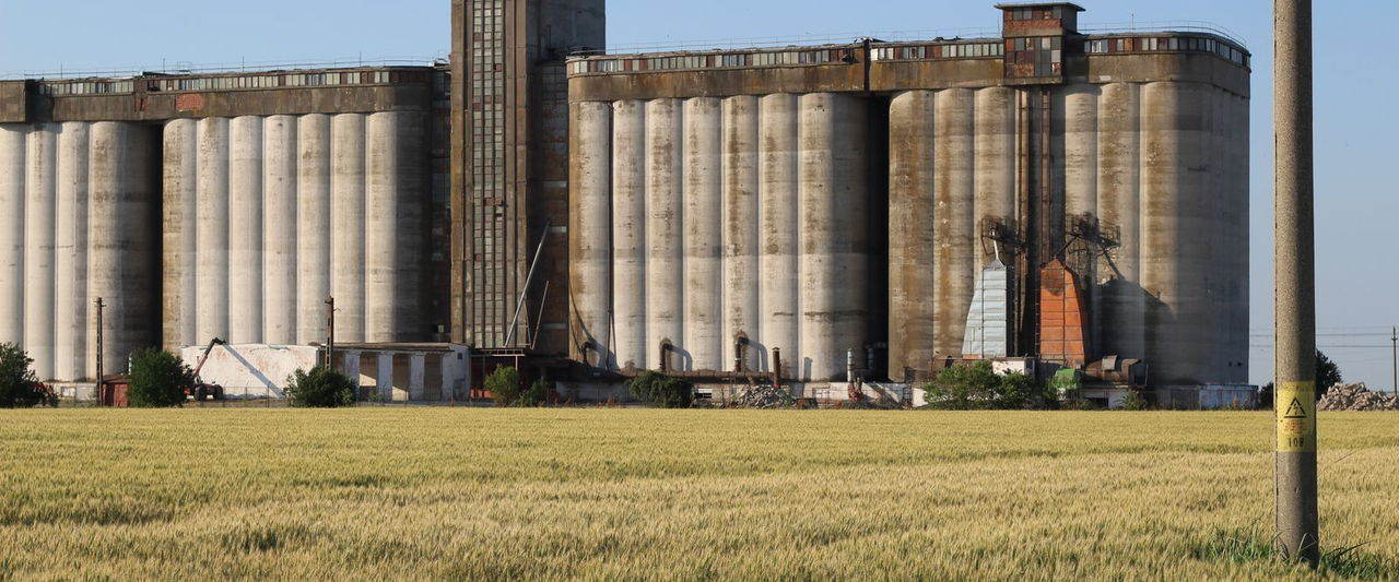 India Lowered Its Foodgrain Target by 2.63 Million Tonnes. Read It as a Planning Signal, Not a Shortage Signal.