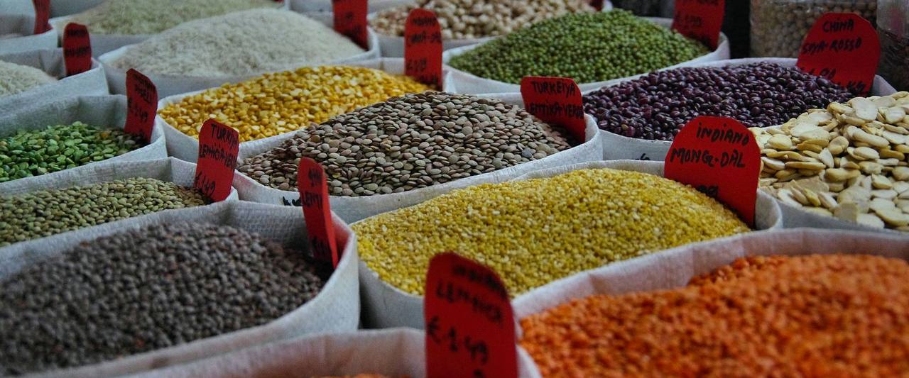 The Pulses Mission Turns One. Its Hard Part Is Seed, Not Money.