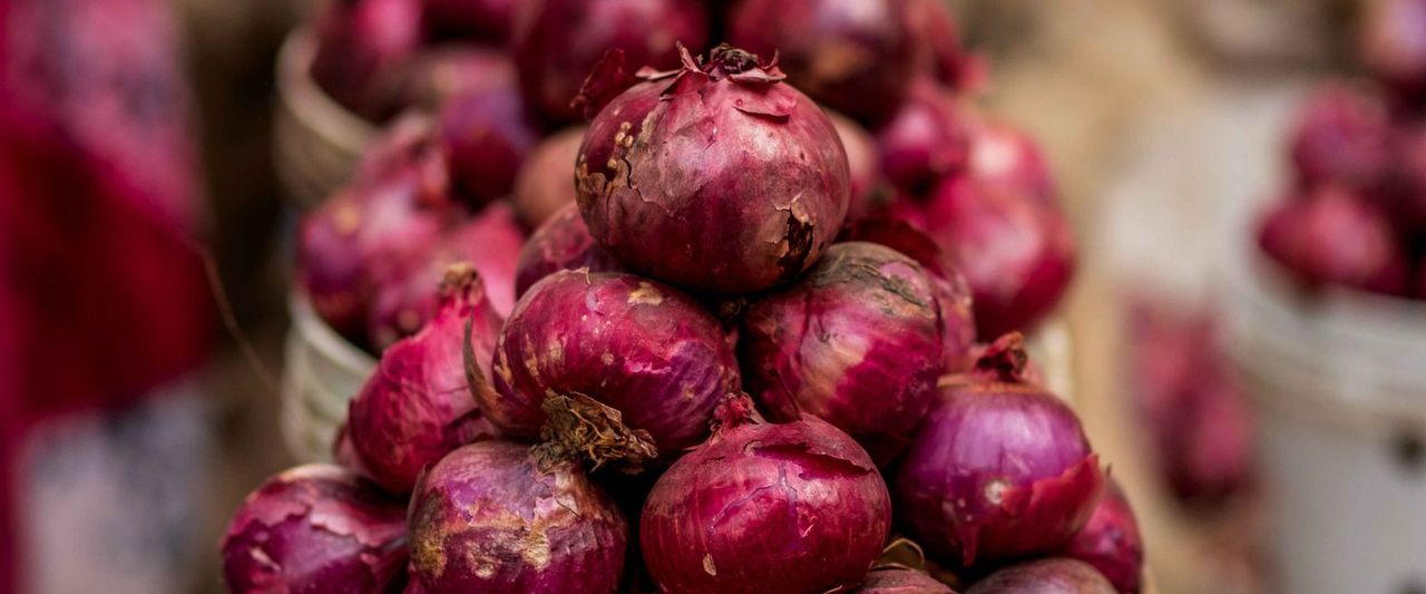 Wholesale Onion Prices Are Falling. Retail Prices Are Not Following Yet.