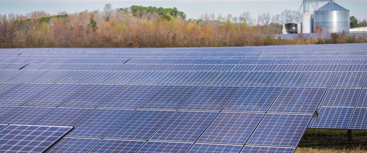 Thirty-Six Projects and a 14,000 GW Promise: Agrivoltaics Needs Evidence Before It Needs Capital