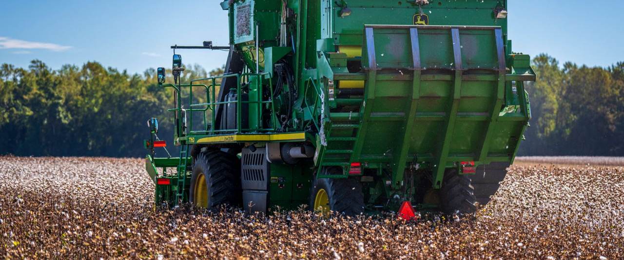Reading Cotton at ₹68,000 a Candy: Short Crop, Open Import Window, and a Floor That Is Not Binding