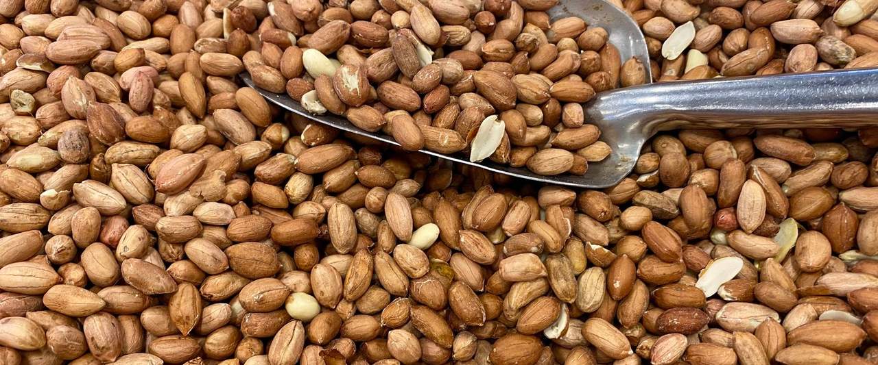 Reading Groundnut in Six Parts: A PEANUT Briefing on a Crop Down a Fifth in Gujarat